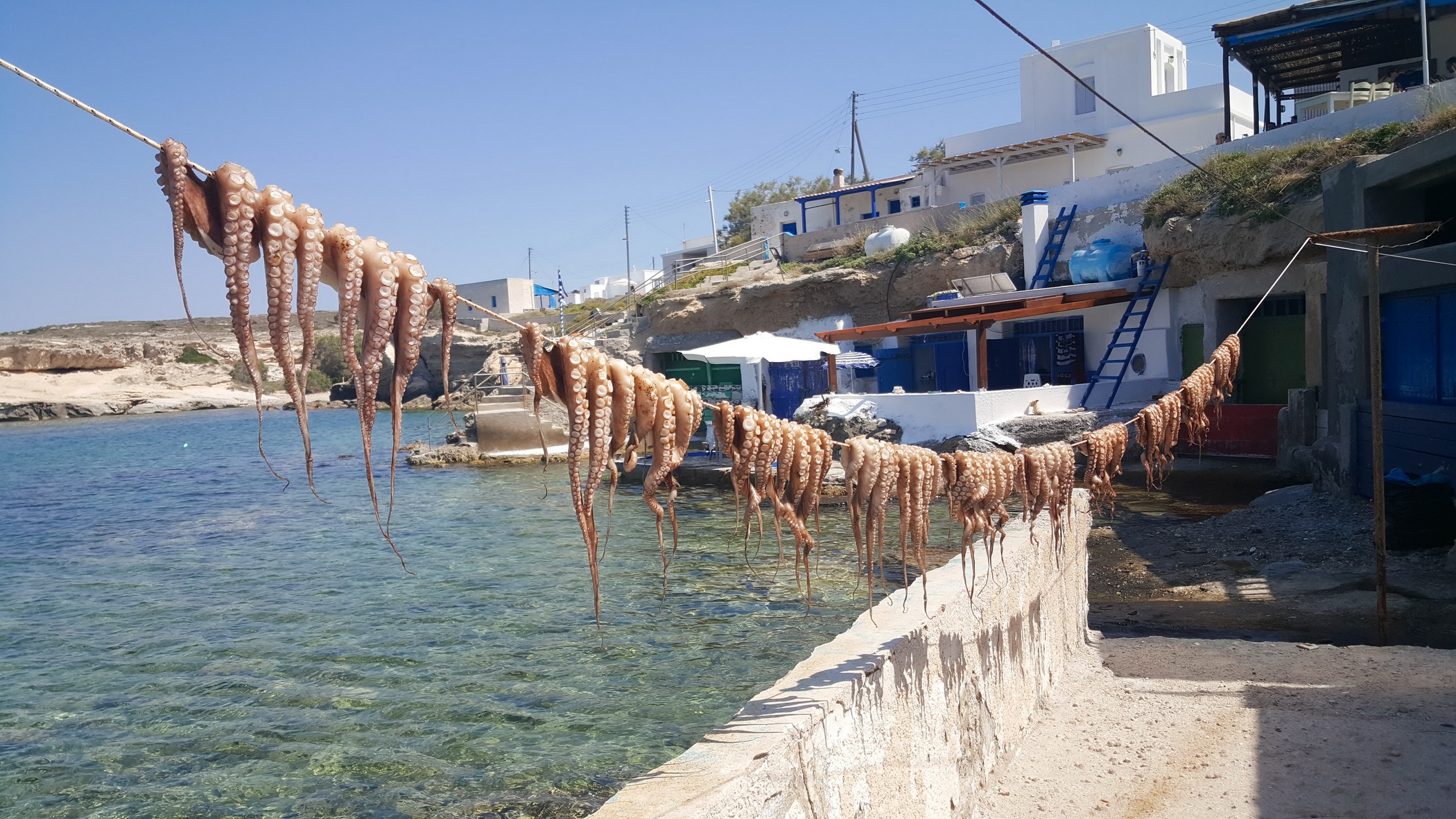 Octopus drying Greek travel